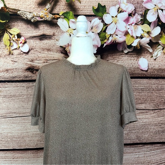 SOLD 🛍️ Adrianna Papell Women’s Brown White Polka Dits Ruffled Elegant Blouse - Picture 2 of 9